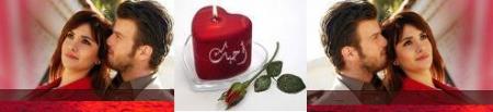 alhob alade yadom wala yhon
